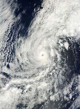 A visible satellite image of a well-defined hurricane with a clear eye and spiral  banding.