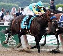 Bay racehorse with rider in turquoise and yellow silks