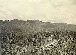 Aerial photograph of a battle scarred ridge amidst a jungle scene