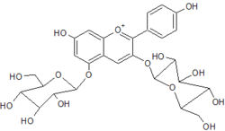 Chemical structure of pelargonin