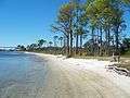 Pensacola FL Big Lagoon SP beach west01.jpg