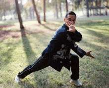 Zhou Jing Xuan demonstrating Pigua Zhang's Dan Pi Zhang (single splitting palm)