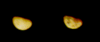 Two versions of the same image of an orange planetary body; the bottom left half of both is illuminated. The image on the right is darker, so dark features on the surface of the body are more visible.