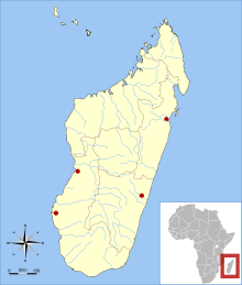 Map of Madagascar off the African coast, showing four red dots (2 along the east coast, 2 along the west coast), representing the range of Pipistrellus raceyi.