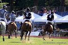 "Polo is played Sundays at 3PM, June through September, weather permitting
