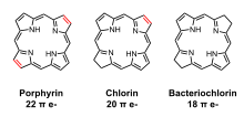 Line diagram of porphyrin, chlorin and bacteriochlorin