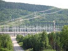 Power lines reach a hub in a densely forested area. A road going downhill leads to a forest of metal pylons.