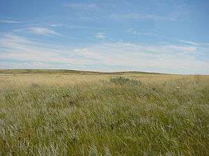 Low hills covered in shortgrass prairie