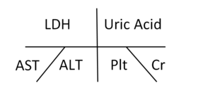LDH/Uric Acid/AST/ALT/Plt/Cr
