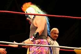 A masked wrestler looking like a clown with a  rainbow colored mohawk standing in a wrestling ring.