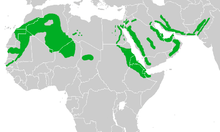 Map showing the breeding areas in Africa and the Middle East