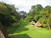 A flat, open grassy area bordered by trees with a few thatched rooves covering monuments and a path and drainage channel to the left