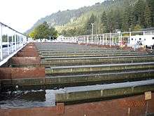 Photo of raceways as at U.S. Fish and Wildlife Service fish hatchery