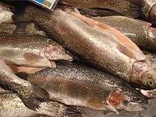 Photo of cleaned and iced rainbow trout in fish market