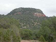 A large mound of rock and dirt with reddish and grayish soil and mostly covered with vegetation.