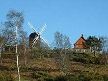 A Windmill on a hill with silver birch trees and a house to the right