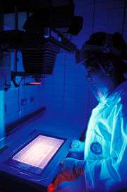 An IRRI researcher studying rice DNA under ultraviolet light.