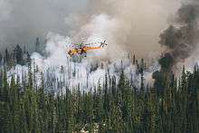 Photo of a helicopter above a coniferous forest engulfed in smoke