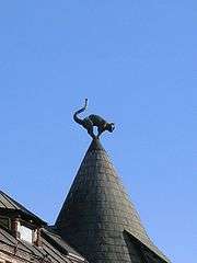 Angry-looking cat on turret rooftop