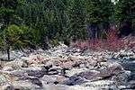 A photo of rocks along a river in Boise National Forest.