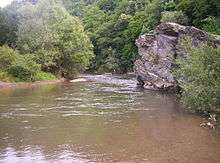 Vlasina River
