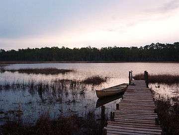 Photograph of the river at dusk in the middle basin, on the right bank near a dock and a canoe looking at the far left bank several thousand yards away lined with slash pines. Tufts of grass are visible in the water.