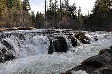 A river cascades over a rock ledge about as tall as a person and rushes rapidly downstream through the woods.