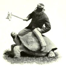 Black and white photograph of Walter Rothschild straddling an adult Galápagos tortoise: Rothschild is a Victorian gentleman sporting a beard and top hat.