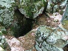A photograph of a deep hole amid moss-covered rocks.