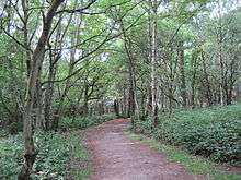 Path in Scratchwood, Mill Hill