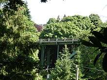 A steel bridge surrounded by trees