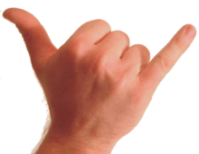Photo of back of human wrist and hand. The thumb and pinkie are extended and the other fingers are folded against the palm.