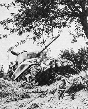 A tank moves through a partially destroyed hedgerow. A tree dominates the upper-right of the photograph