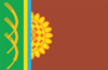 Flag of Shyroke Raion