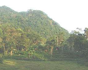 Forested hilly landscape.