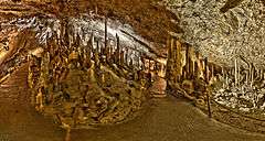 Škocjan Caves
