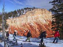 A line of snowshoers with colorful rock cliff in background.