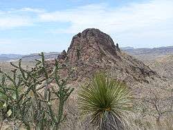 A photo of Solitario Peak in Big Bend Ranch State Park