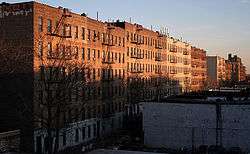 Photograph of tenement buildings in the Bronx