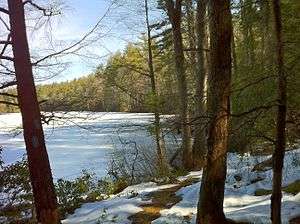 Southern Breakneck Pond on Nipmuck Trail facing north on the last day of winter