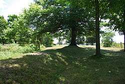 View of mounds and trees at the Southwold Earthworks