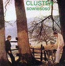 Album cover containing a shot of the two Cluster members leaning against trees