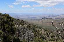 Mount Stirling, Nevada