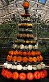White, green, and orange squashes built into a Christmas tree shape
