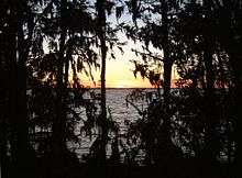 Sunset over a wide river, showing the far bank miles away and the near bank darkened with cypress trees