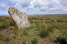 Photograph of a prehistoric standing stone
