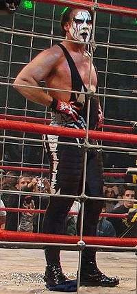 Man wearing black tights with black and white facepaint standing in a ring surrounded by a steel cage.