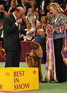 A group of judges holding a silver trophy and a large rosette next to a brown dog standing on its back legs. In the foreground is a large yellow sign marked "Best in Show"