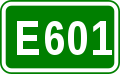 E601 shield