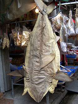 Photo of desiccated shark skin hanging on hook